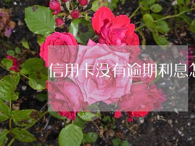 信用卡没有逾期利息怎么算 信用卡没有逾期利息怎么算