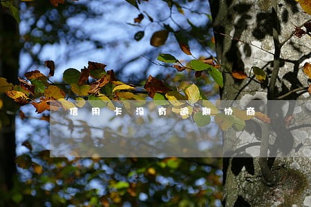 信用卡没有逾期协商 信用卡没有逾期协商