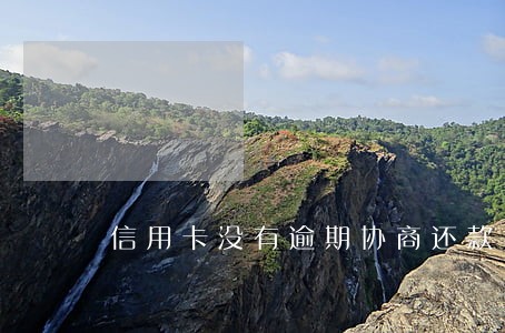 信用卡没有逾期协商还款 信用卡没有逾期协商还款