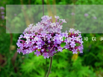 信用卡没有逾期可以买房子吗 信用卡没有逾期可以买房子吗