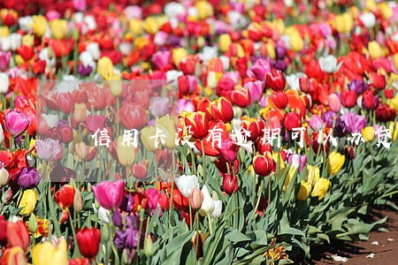 信用卡没有逾期可以办贷款吗