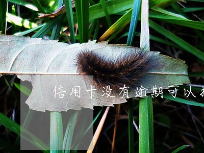 信用卡没有逾期可以找银行协商吗