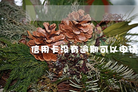 信用卡没有逾期可以申请房贷吗 信用卡没有逾期可以申请房贷吗