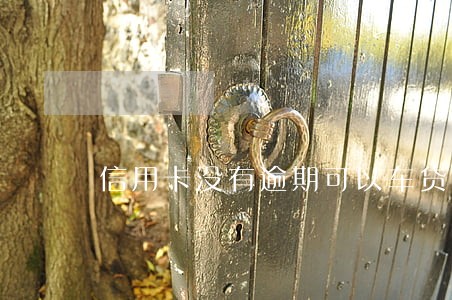 信用卡没有逾期可以车贷吗 信用卡没有逾期可以车贷吗