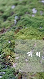 信用卡没有逾期可以退利息吗 信用卡没有逾期可以退利息吗