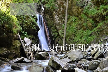 信用卡没有逾期和欠费被止付 信用卡没有逾期和欠费被止付