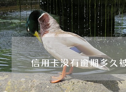 信用卡没有逾期多久被冻结 信用卡没有逾期多久被冻结