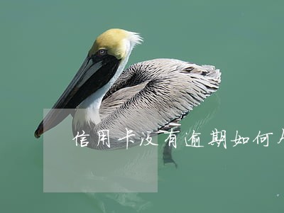 信用卡没有逾期如何个性化分期 信用卡没有逾期如何个性化分期