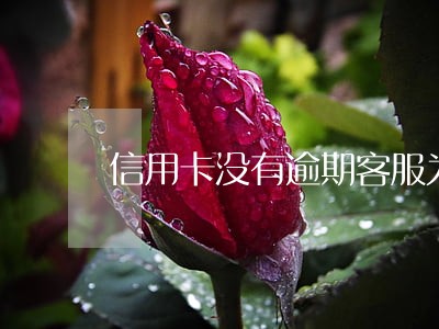 信用卡没有逾期客服为啥打电话 信用卡没有逾期客服为啥打电话