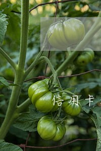 信用卡没有逾期影响买房吗 信用卡没有逾期影响买房吗