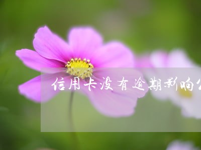 信用卡没有逾期影响公积金吗
