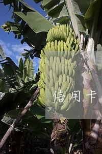 信用卡没有逾期影响办理房贷吗 信用卡没有逾期影响办理房贷吗