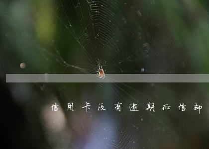 信用卡没有逾期征信却逾期了