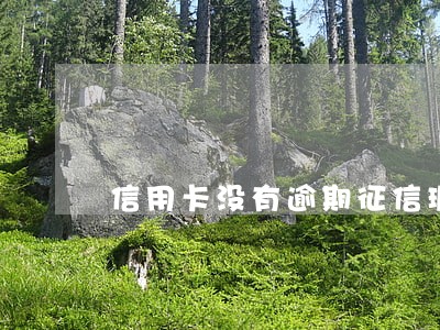 信用卡没有逾期征信瑕疵 信用卡没有逾期征信瑕疵