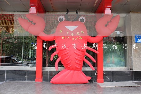 信用卡没有逾期征信记录