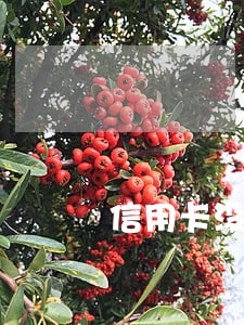 信用卡没有逾期怎么协商分期 信用卡没有逾期怎么协商分期