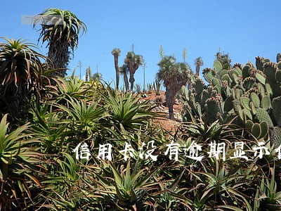 信用卡没有逾期显示信用膨胀