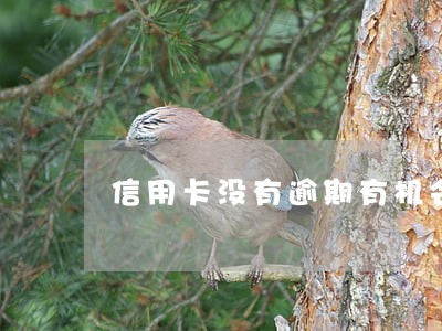 信用卡没有逾期有机会解封 信用卡没有逾期有机会解封