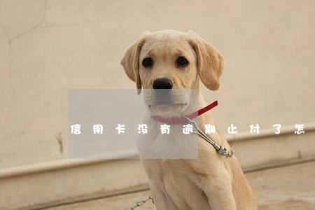 信用卡没有逾期止付了怎么办