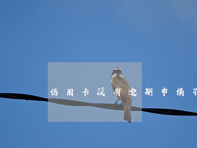 信用卡没有逾期申请不过 信用卡没有逾期申请不过