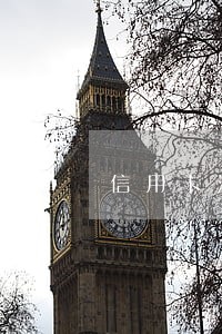 信用卡没有逾期的征信报告模板 信用卡没有逾期的征信报告模板