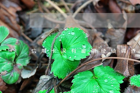 信用卡没有逾期经侦调查 信用卡没有逾期经侦调查