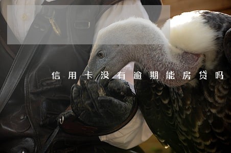 信用卡没有逾期能房贷吗