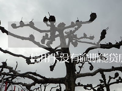 信用卡没有逾期能贷房贷吗 信用卡没有逾期能贷房贷吗
