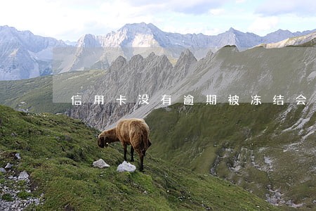 信用卡没有逾期被冻结会怎样 信用卡没有逾期被冻结会怎样