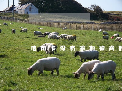 信用卡没有逾期被降额
