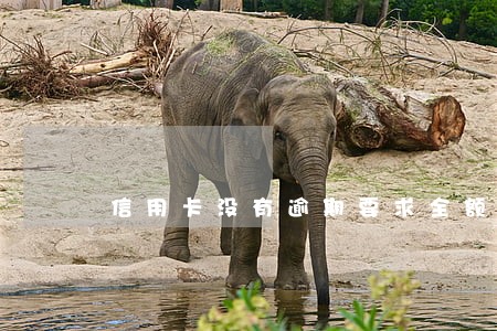 信用卡没有逾期要求全额还款 信用卡没有逾期要求全额还款