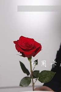 信用卡没有逾期记录怎么查