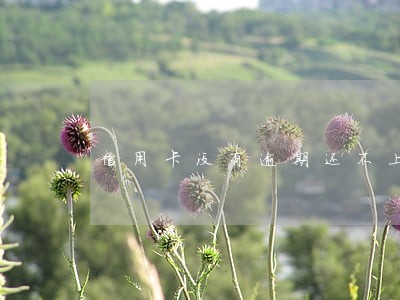 信用卡没有逾期还不上了