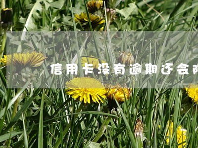 信用卡没有逾期还会降额吗 信用卡没有逾期还会降额吗