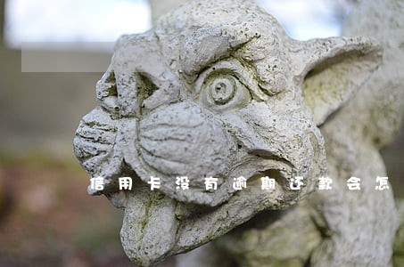 信用卡没有逾期还款会怎么啦
