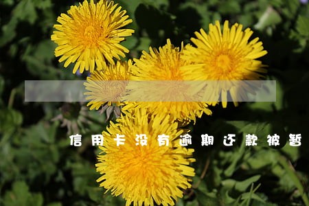 信用卡没有逾期还款被暂停使用 信用卡没有逾期还款被暂停使用