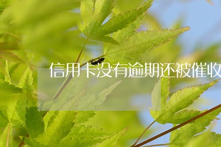 信用卡没有逾期还被催收 信用卡没有逾期还被催收