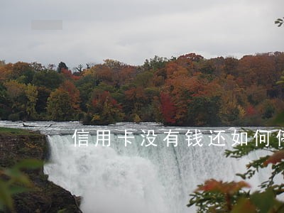 信用卡没有钱还如何停止逾期
