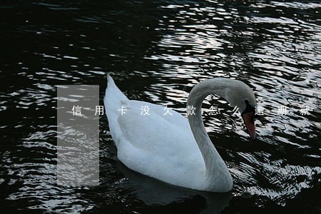 信用卡没欠款怎么逾期就下调额度 信用卡没欠款怎么逾期就下调额度