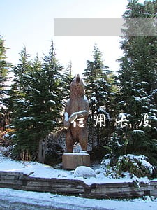 信用卡没注意逾期了两天 信用卡没注意逾期了两天