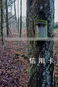 信用卡没注意逾期几天 信用卡没注意逾期几天