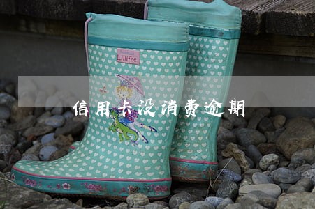 信用卡没消费逾期 信用卡没消费逾期