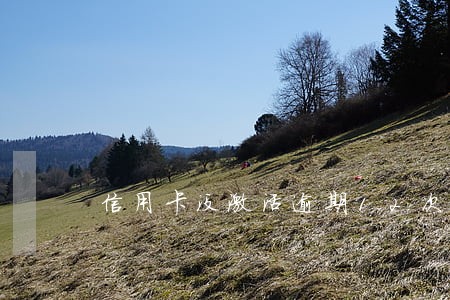信用卡没激活逾期12次怎么办 信用卡没激活逾期12次怎么办