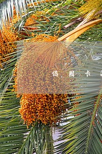 信用卡没用2年出现逾期