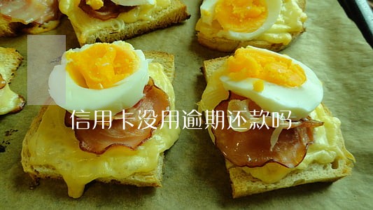 信用卡没用逾期还款吗