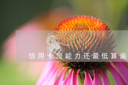 信用卡没能力还最低算逾期吗 信用卡没能力还最低算逾期吗