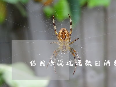 信用卡没过还款日消费算逾期吗