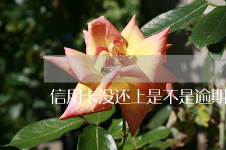 信用卡没还上是不是逾期了 信用卡没还上是不是逾期了