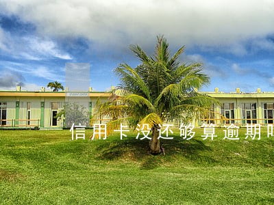 信用卡没还够算逾期吗 信用卡没还够算逾期吗
