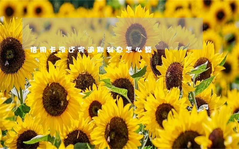 信用卡没还完逾期利息怎么算